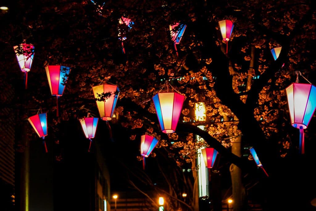Pink and blue paper lanterns strung through trees at night